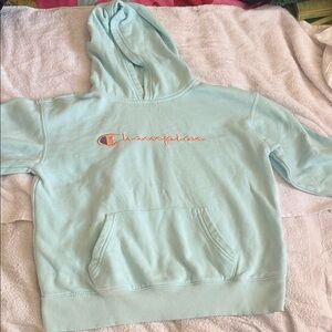 Champion Sky Blue Hoodie with Logo